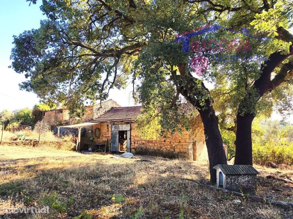 Casa de Campo com terreno e poço de água freguesia da Graça - Grande imagem: 4/24