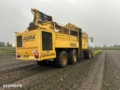 Inny Kombajn buraczny ROPA 2008r - 8