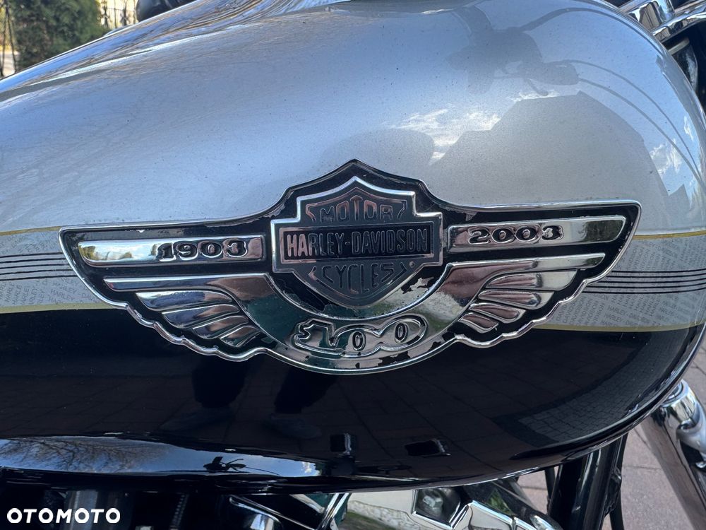 Harley-Davidson Softail - 7