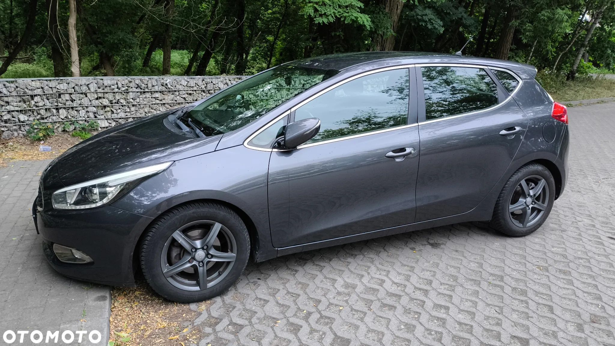 Kia Ceed - 1