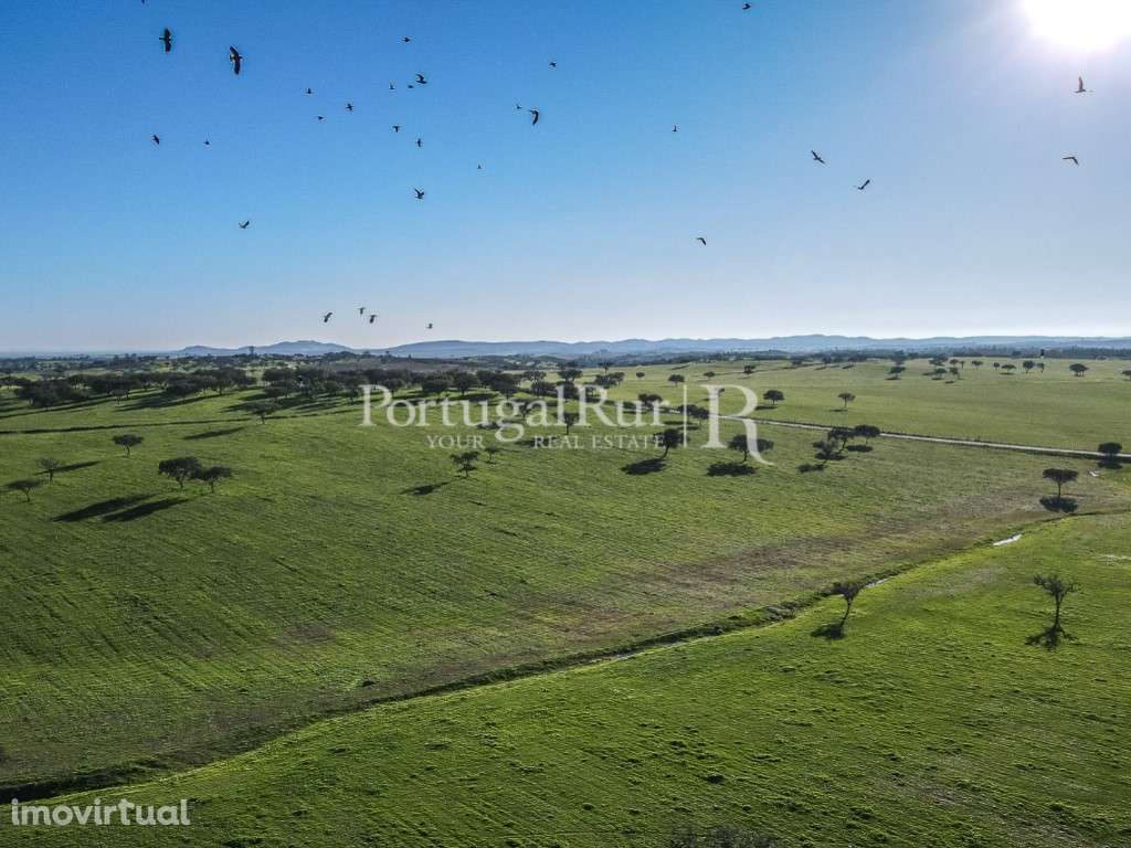 Herdade 363 hectares para Agropecuária e Painéis Fotovoltaicos - Grande imagem: 3/18
