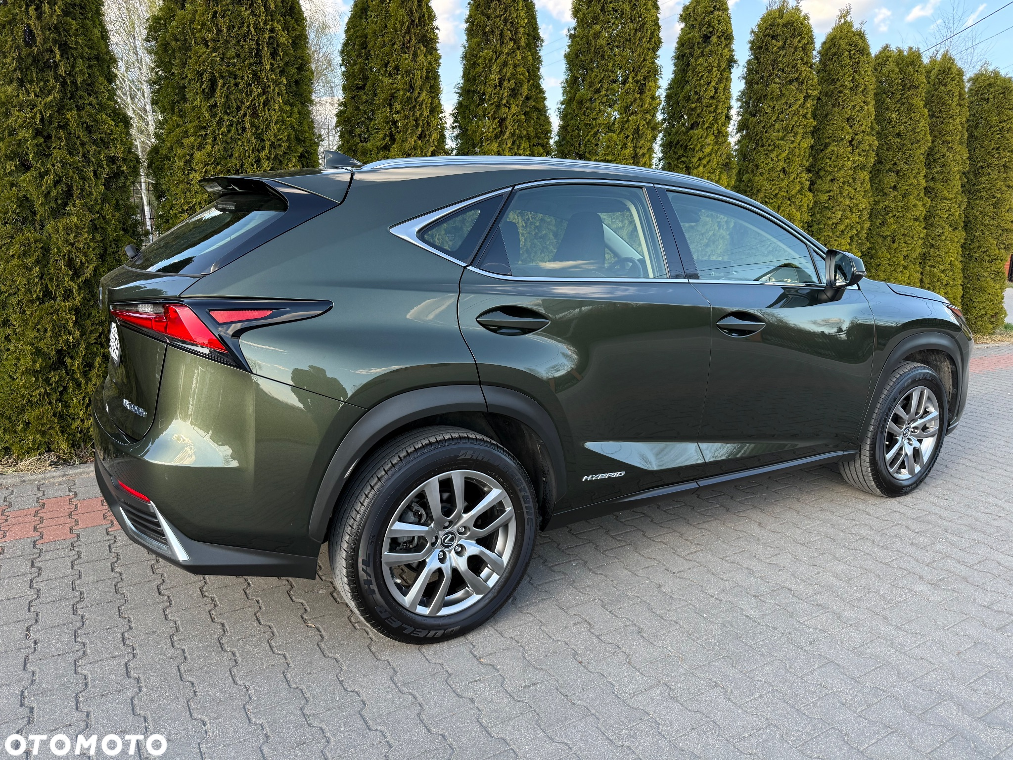 Lexus NX - 13