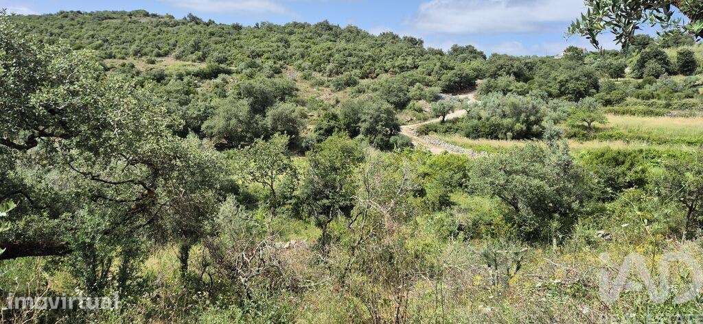 Terreno em Alqueidão da Serra - Grande imagem: 4/6