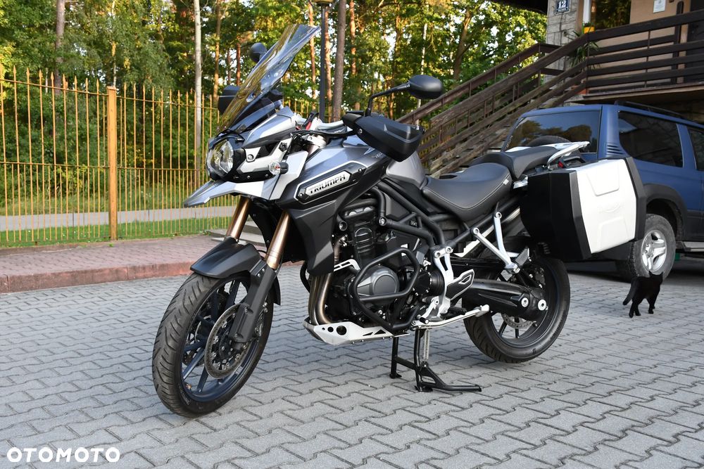 Triumph Tiger - 11