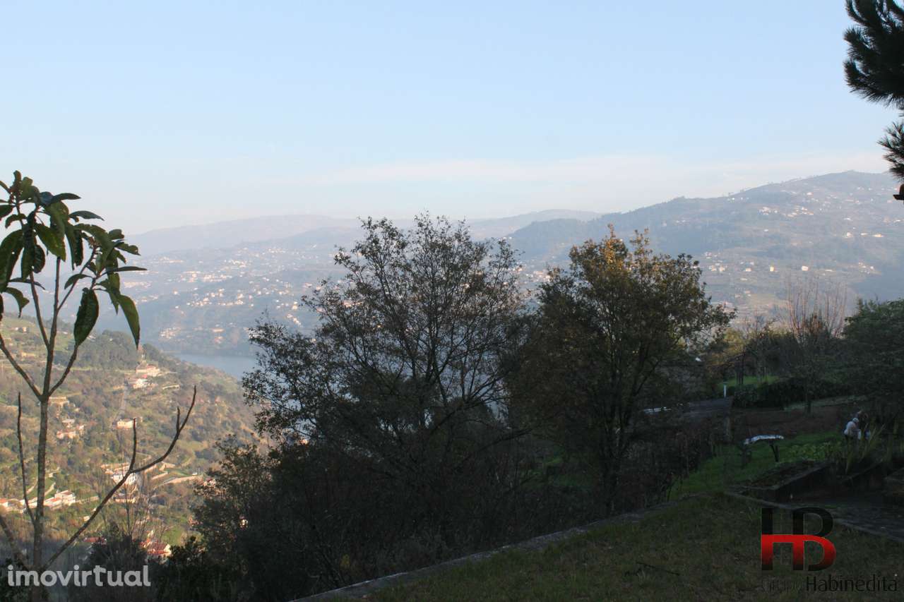 Quintinha no Douro, Baião. - Grande imagem: 4/20