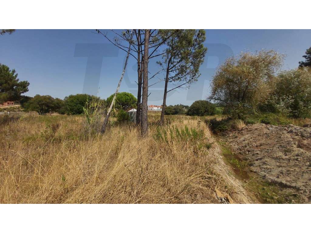 Terreno rústico com 7.600m2 - Pontével - 50.000€ - Grande imagem: 3/9