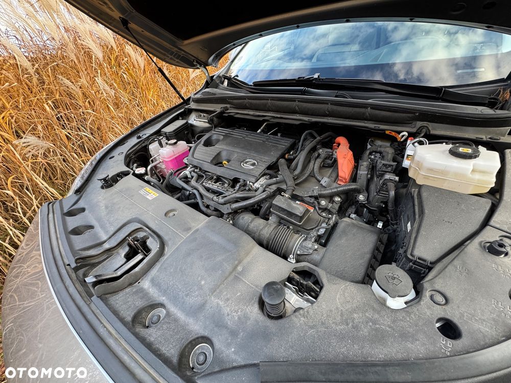 Lexus RX 350h Prestige - 30