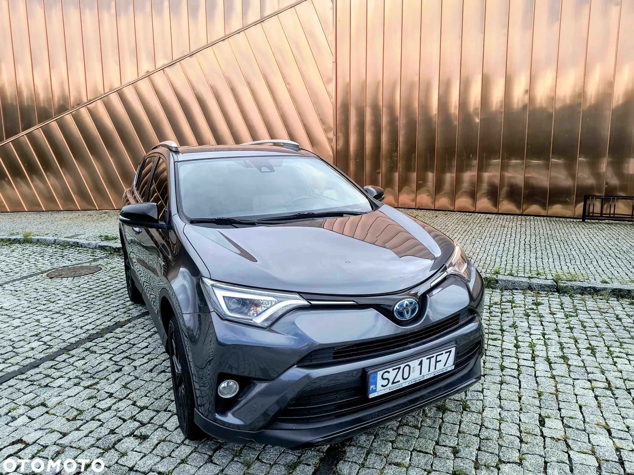 Toyota RAV4 Hybrid Prestige 4x2 - 1