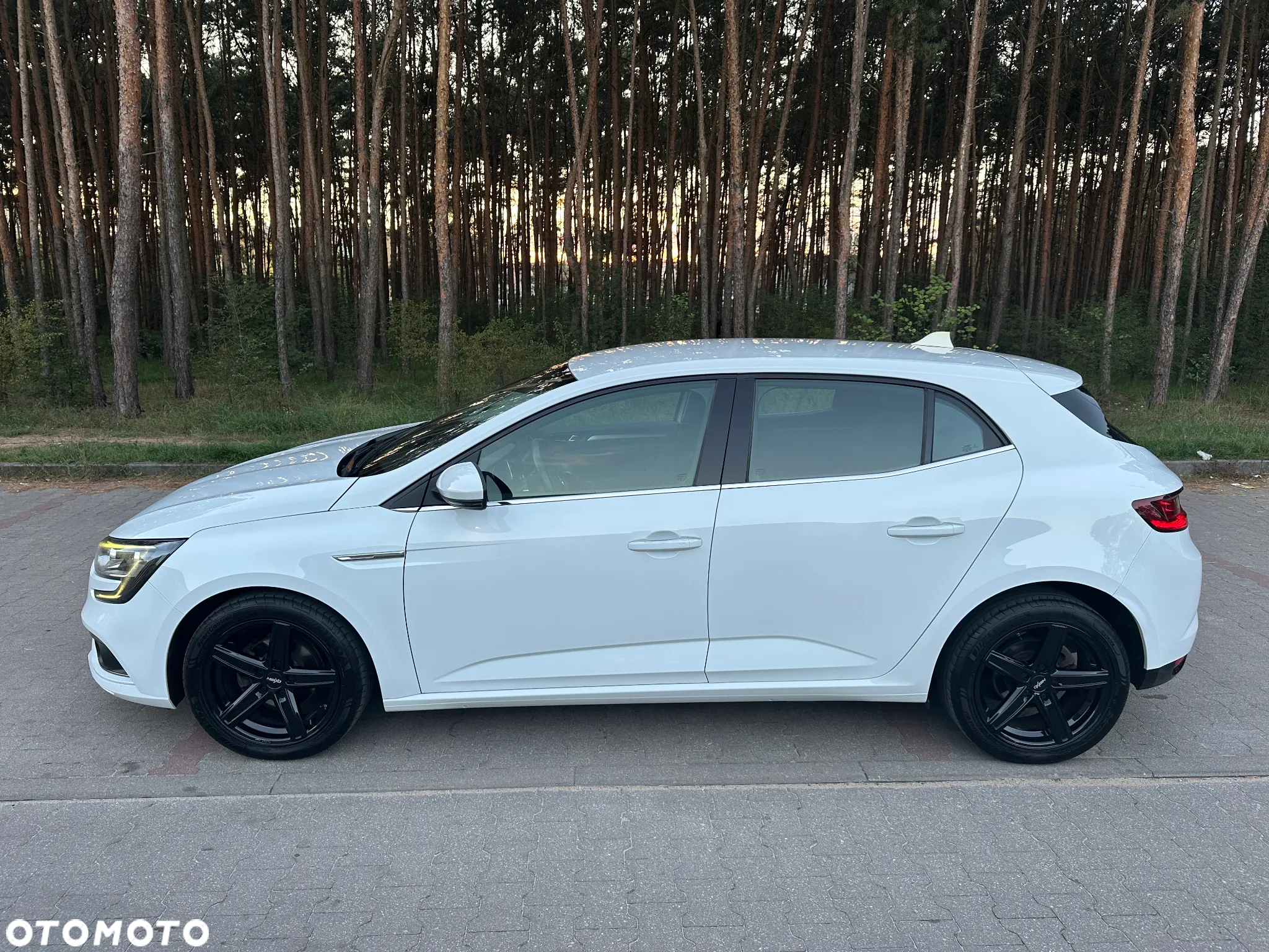 Renault Megane 1.2 Energy TCe Intens - 3