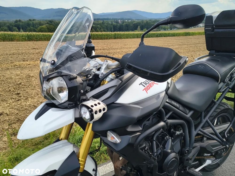 Triumph Tiger - 26