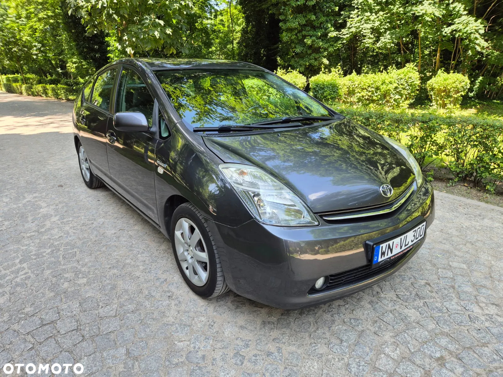 Toyota Prius (Hybrid) Executive - 9