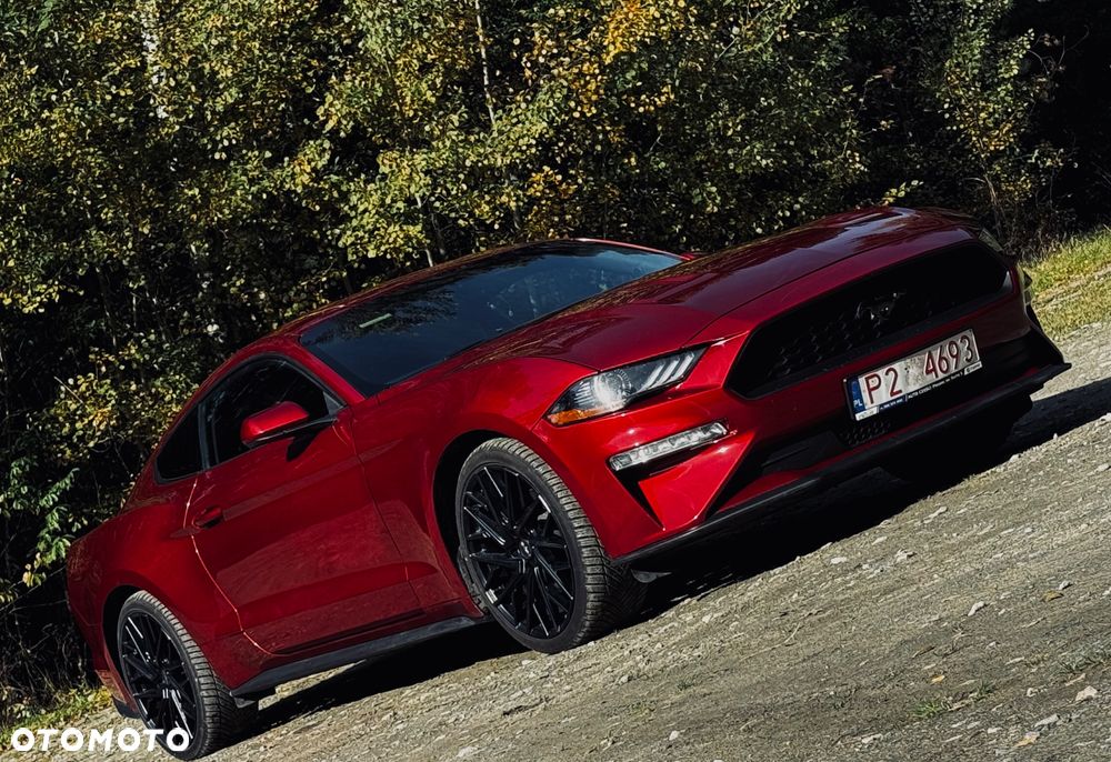 Ford Mustang 2.3 EcoBoost - 2