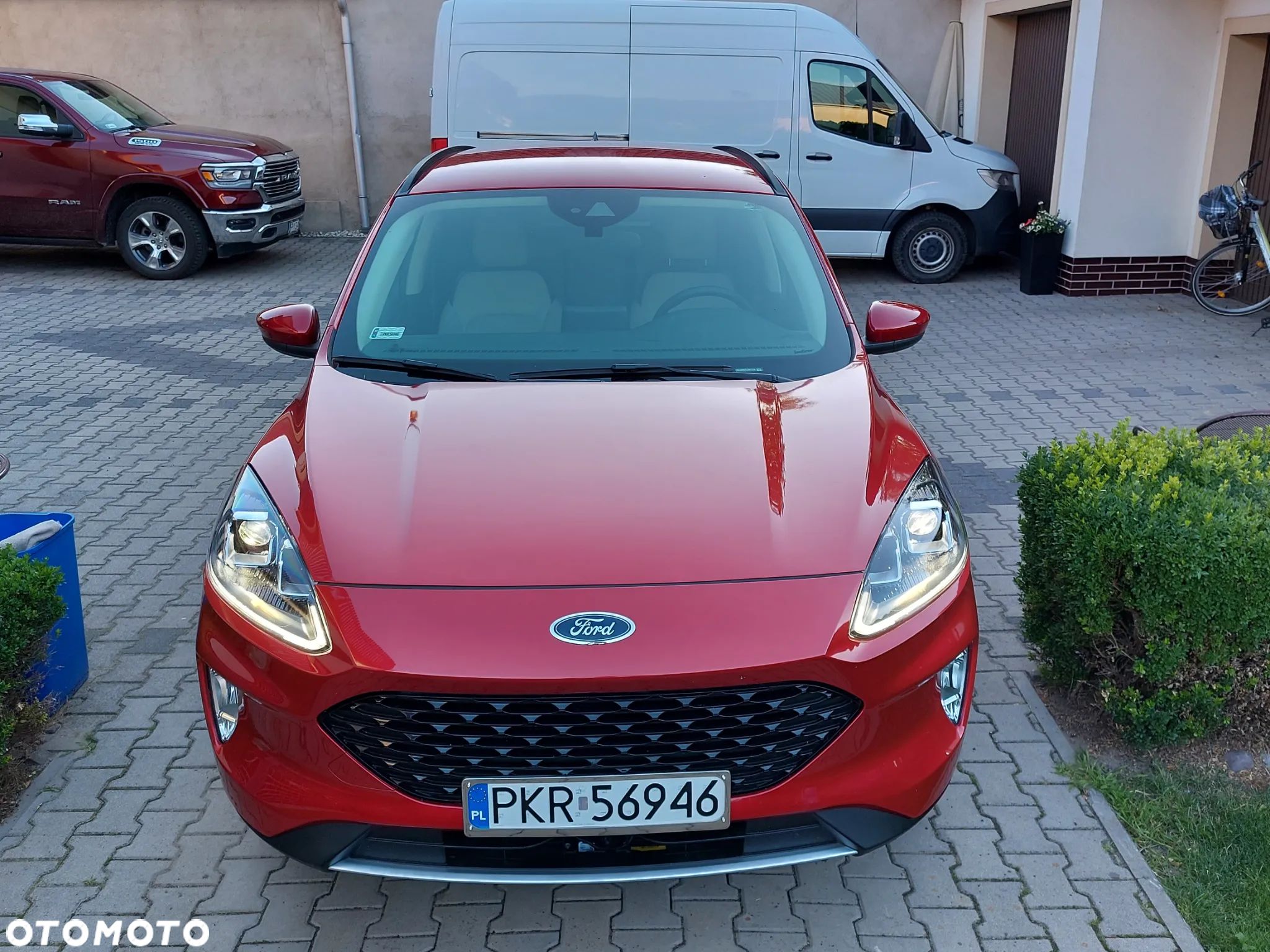 Ford Escape 1.5 EcoBoost AWD SE - 1