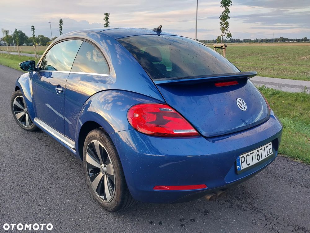 Volkswagen Beetle - 9