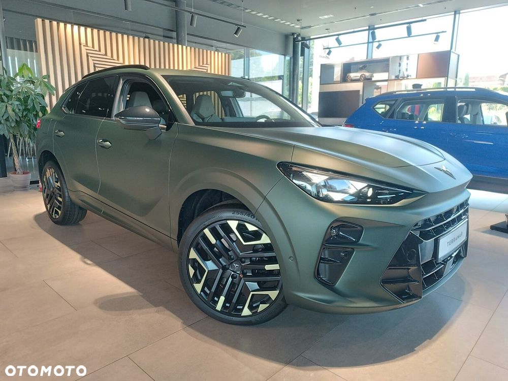 Cupra Terramar 2.0 TSI 4Drive Tribe Edition DSG - 5