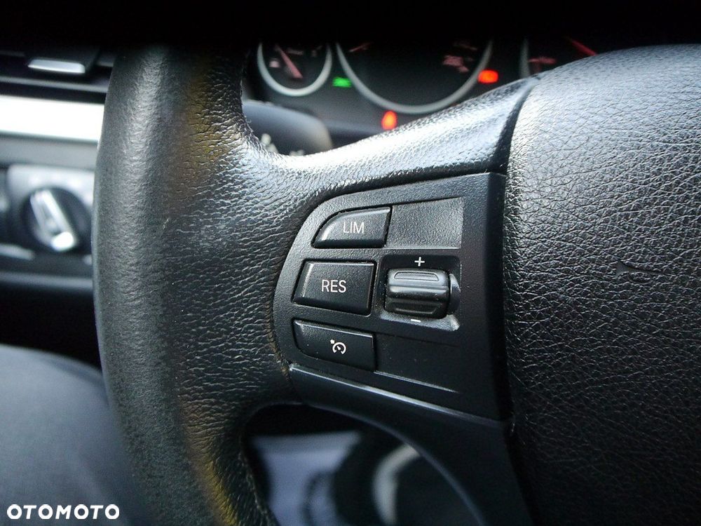 BMW Seria 3 318d Luxury Line - 30