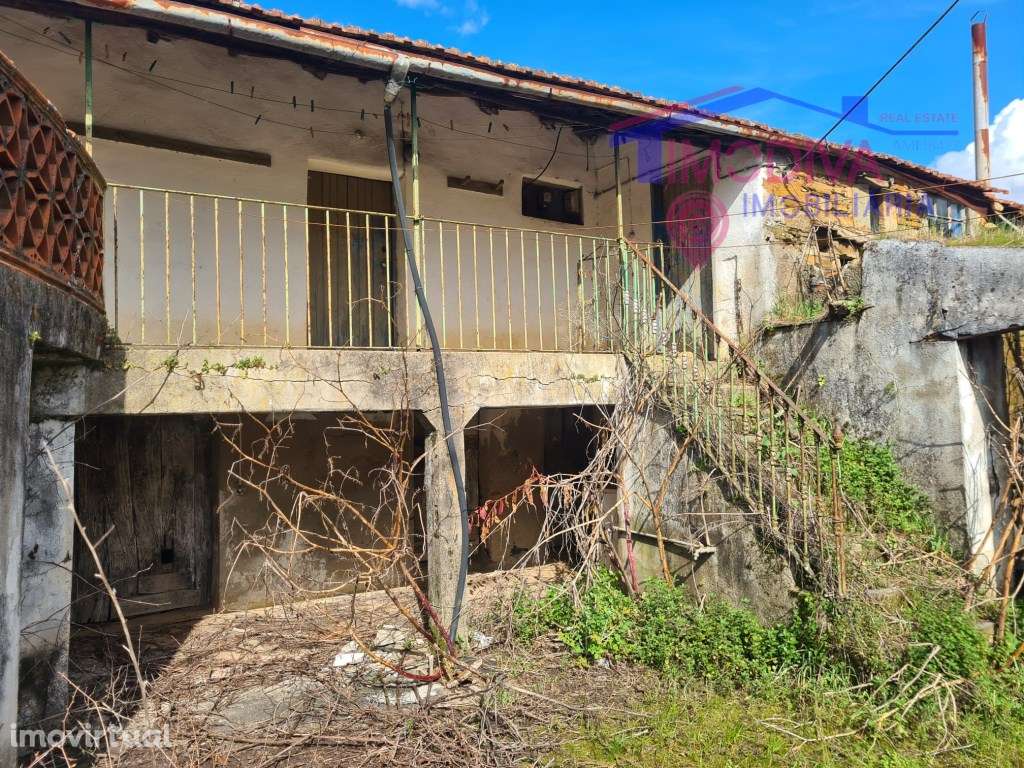 Casa de campo T3 com terreno com mais de 6.000m2 - Grande imagem: 3/25