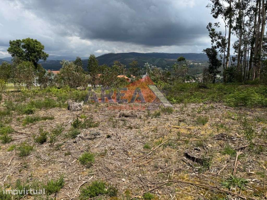 Terreno para construção - Palmaz - Grande imagem: 3/9