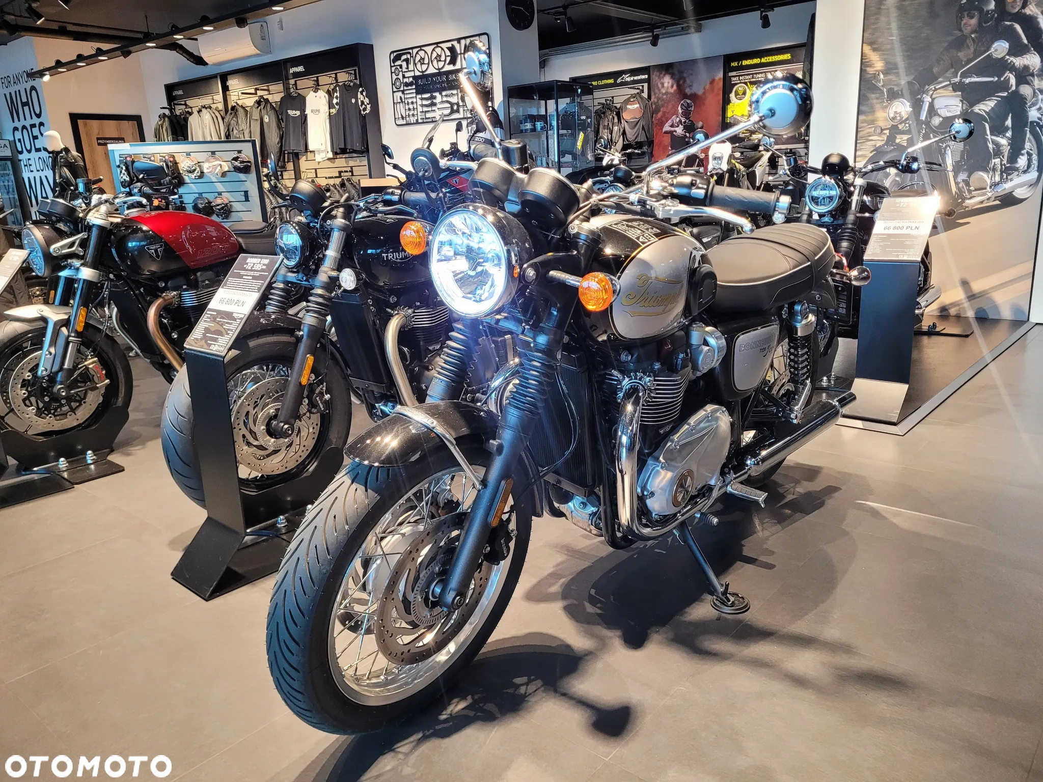 Triumph Bonneville - 2