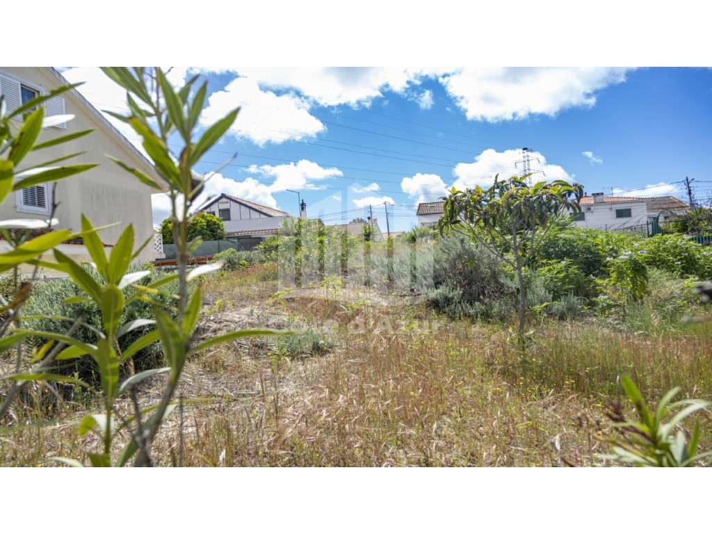TERRENO QUINTA CONDE - Grande imagem: 4/15