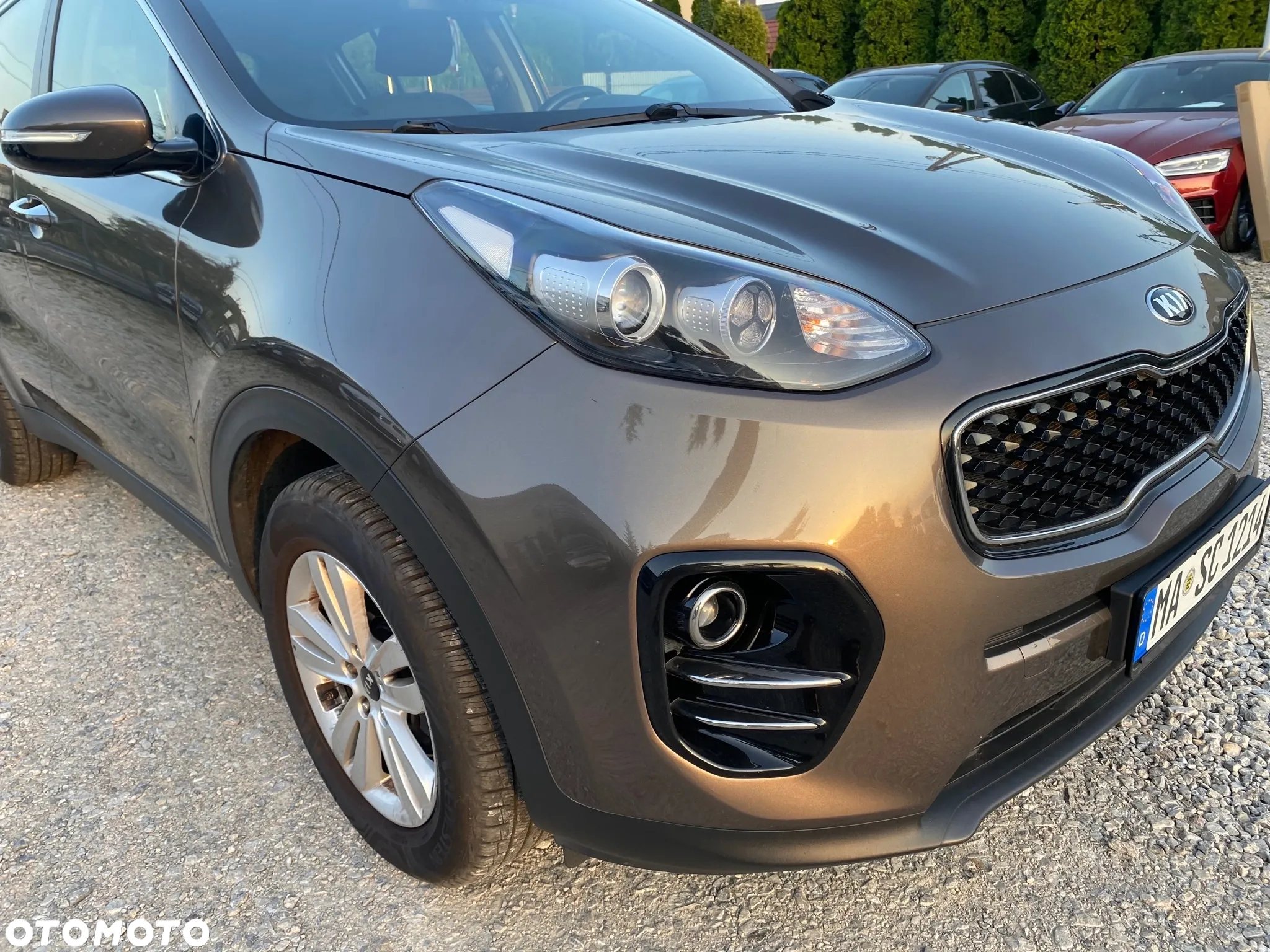 Kia Sportage 1.6 GDI L Business Line 2WD - 10