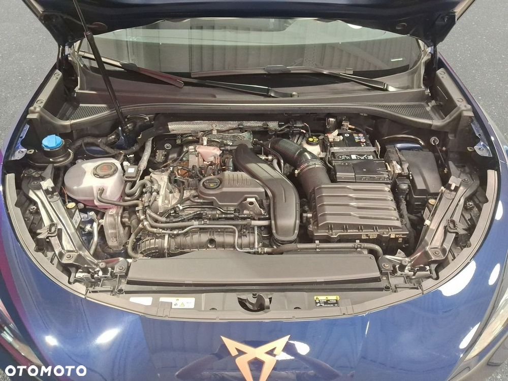 Cupra Terramar - 32