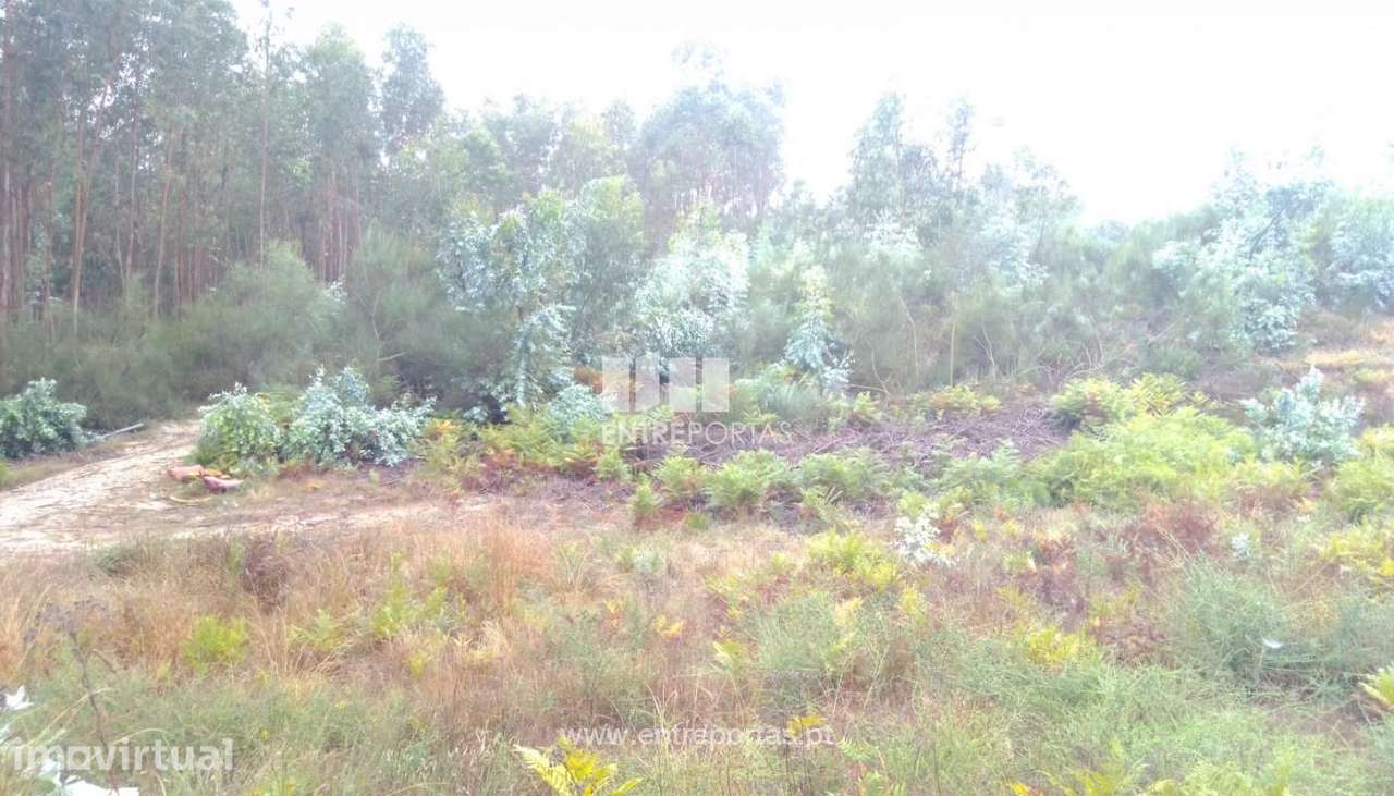 Venda Terreno com 3 hectares, Vila Boa de Quires, Marco de Canaveses - Grande imagem: 3/31