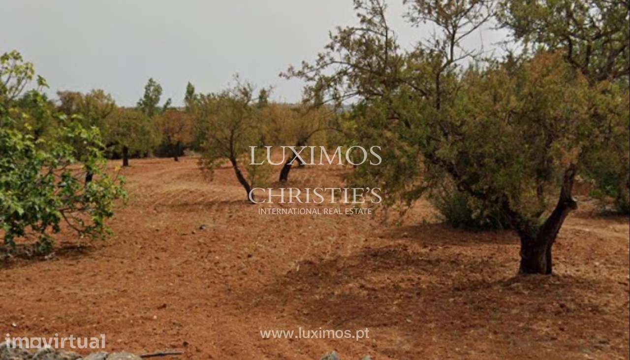 Terreno urbano com ruína, para venda em Conceição e Estói, Algarve - Grande imagem: 5/9