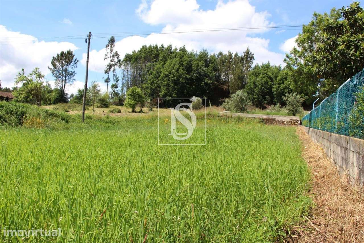 Terreno  Venda em Mortágua, Vale de Remígio, Cortegaça e Almaça,Mortág - Grande imagem: 4/10