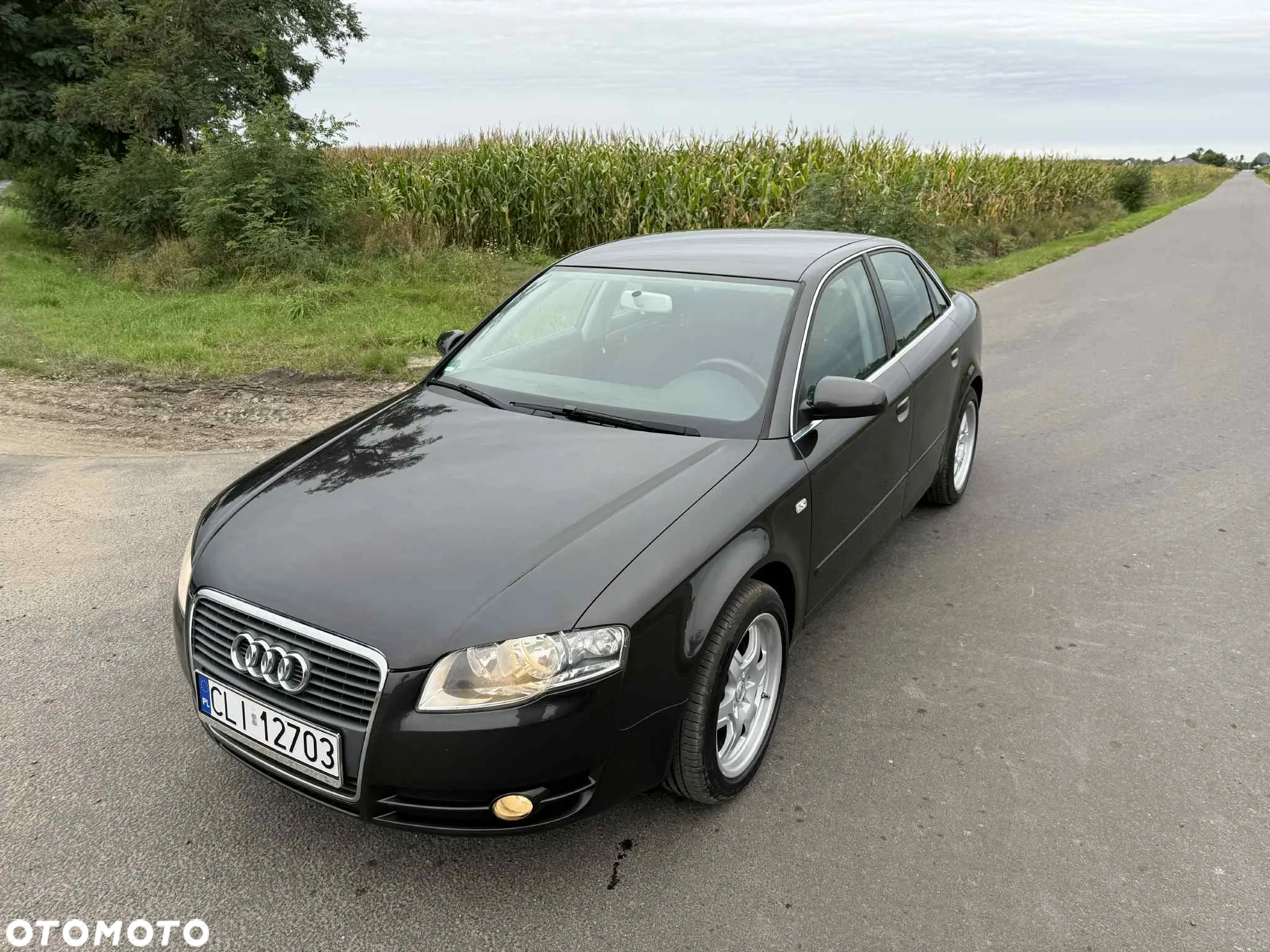 Audi A4 - 12