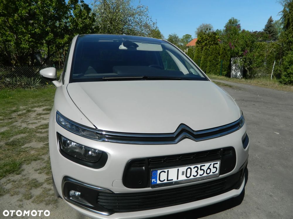 Citroën C4 Picasso 1.2 PureTech Shine S&S EAT6 - 13