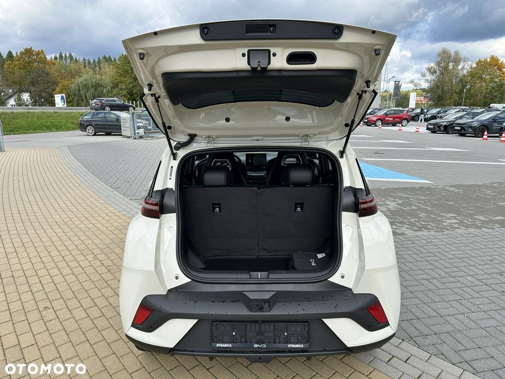 BYD Dolphin Surf - 17