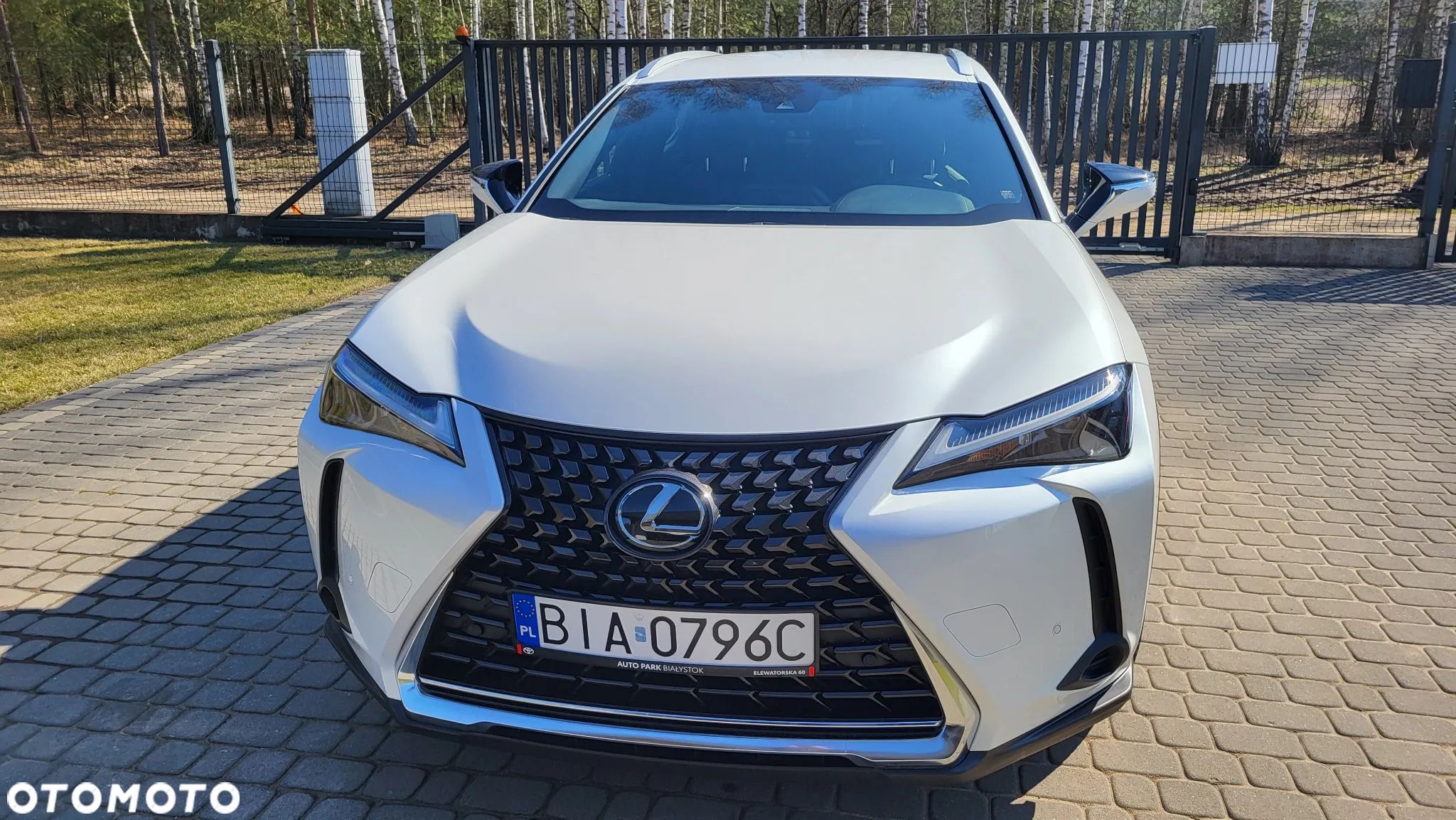 Lexus UX 250h GPF Business AWD - 1