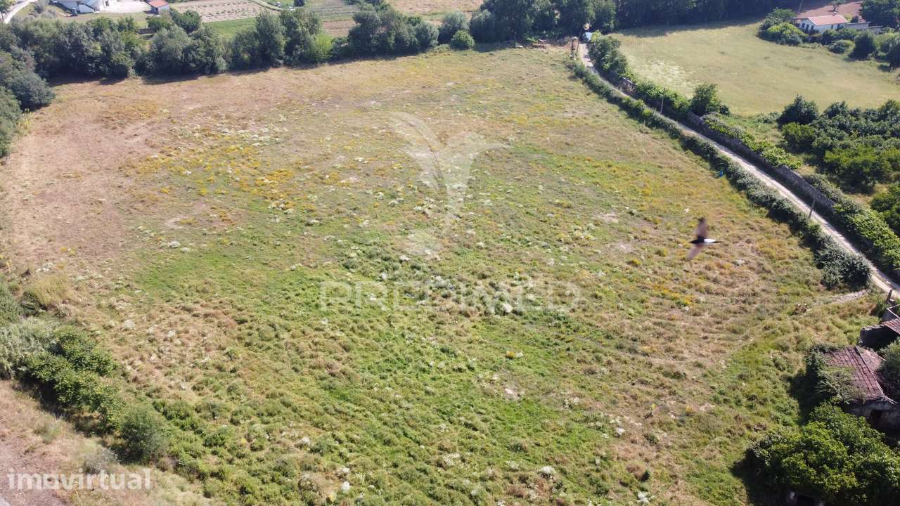 Terreno para Venda – Mirandela - Grande imagem: 4/7