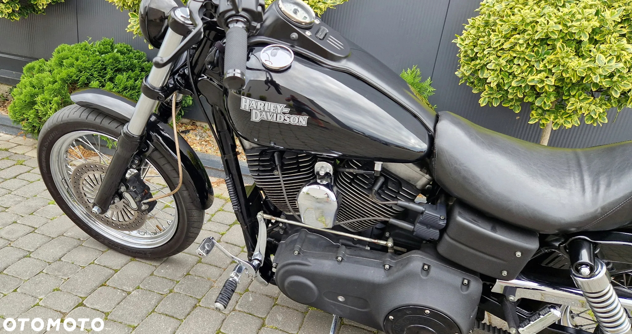 Harley-Davidson Dyna Street Bob - 35