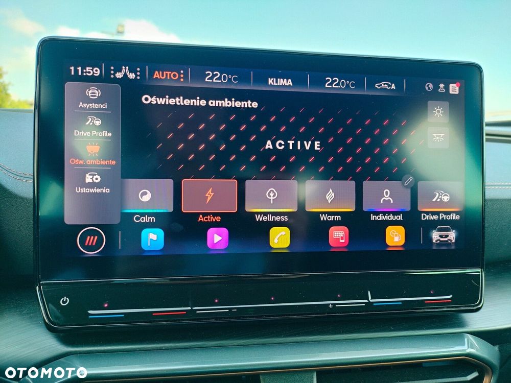 Cupra Formentor 2.5 TSI 4Drive VZ5 DSG - 31