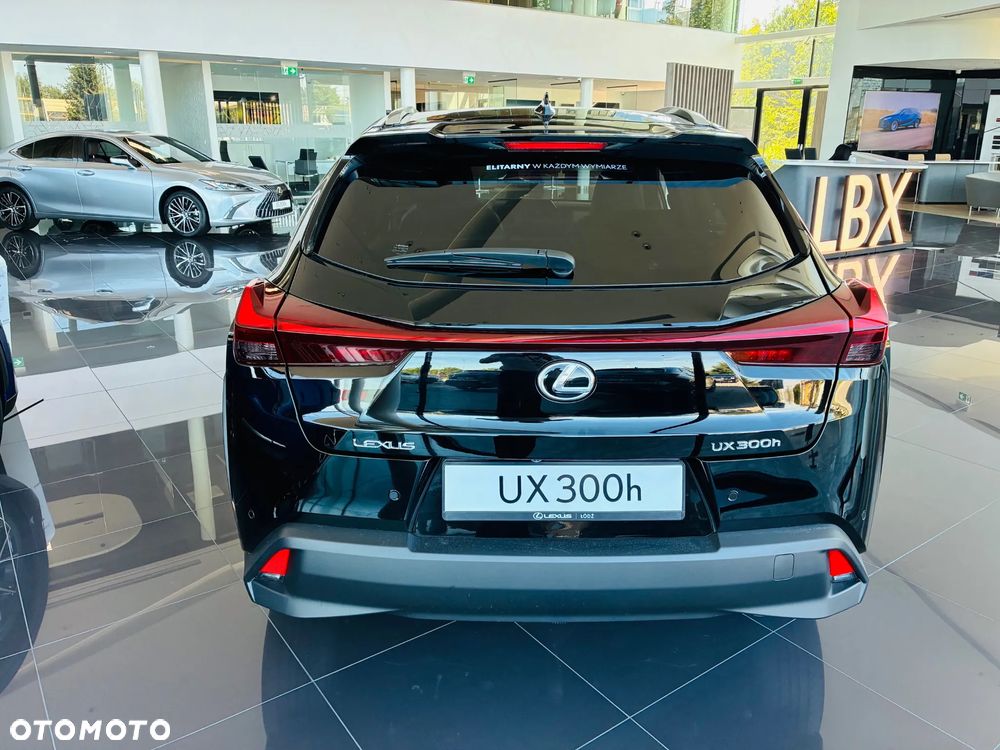 Lexus UX 300h Business - 5