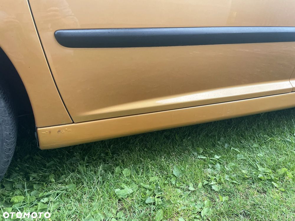 Peugeot 207 - 10