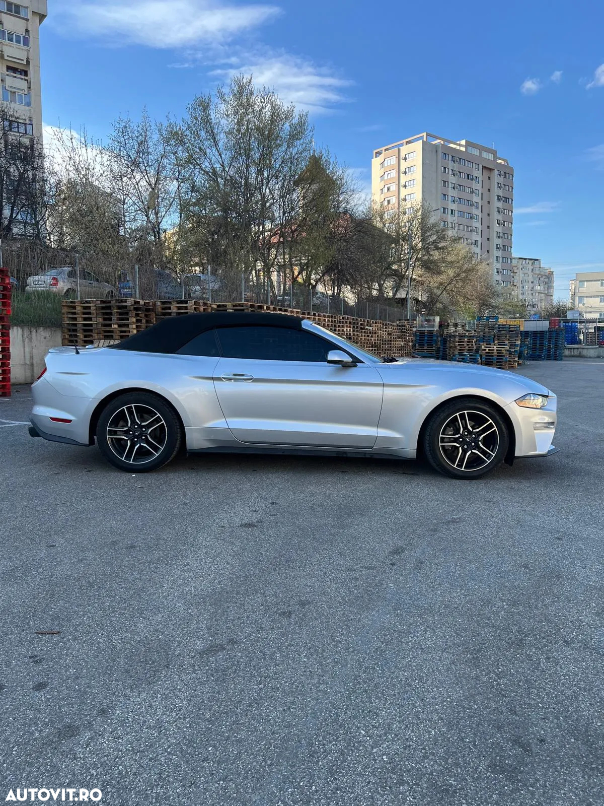 Ford Mustang Cabrio 2.3 Eco Boost - 10