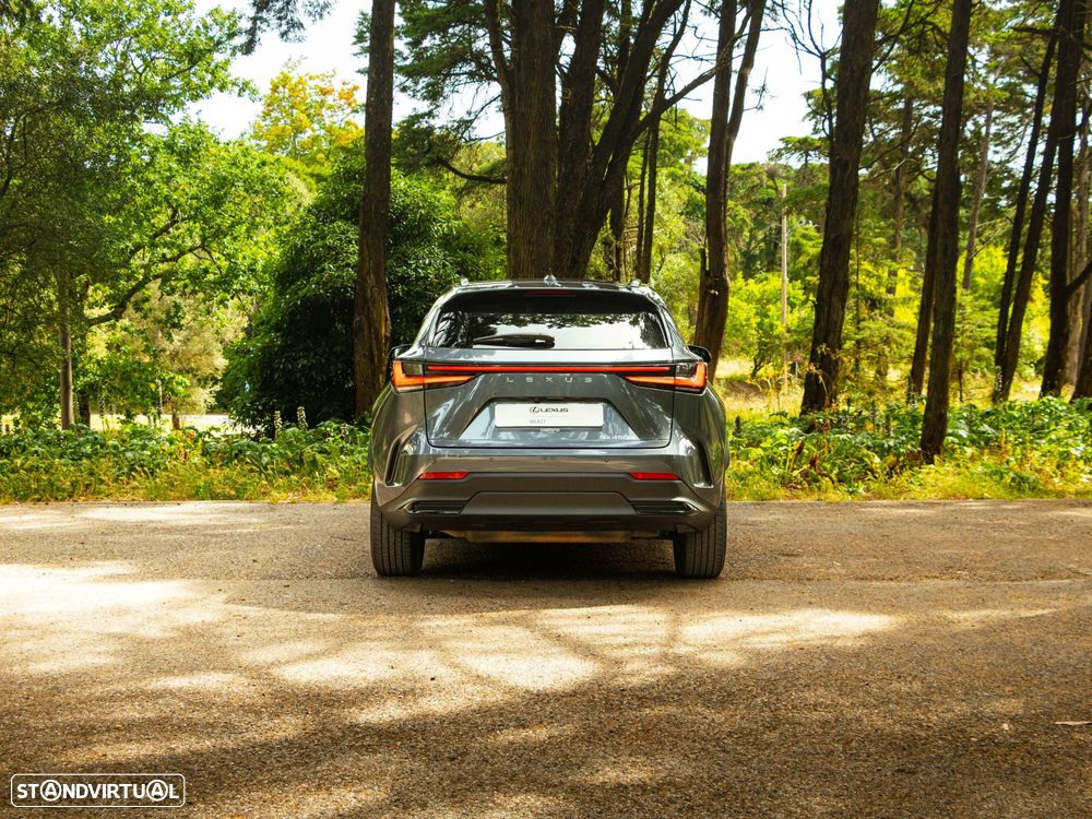 Lexus NX 450h+ Executive - 5