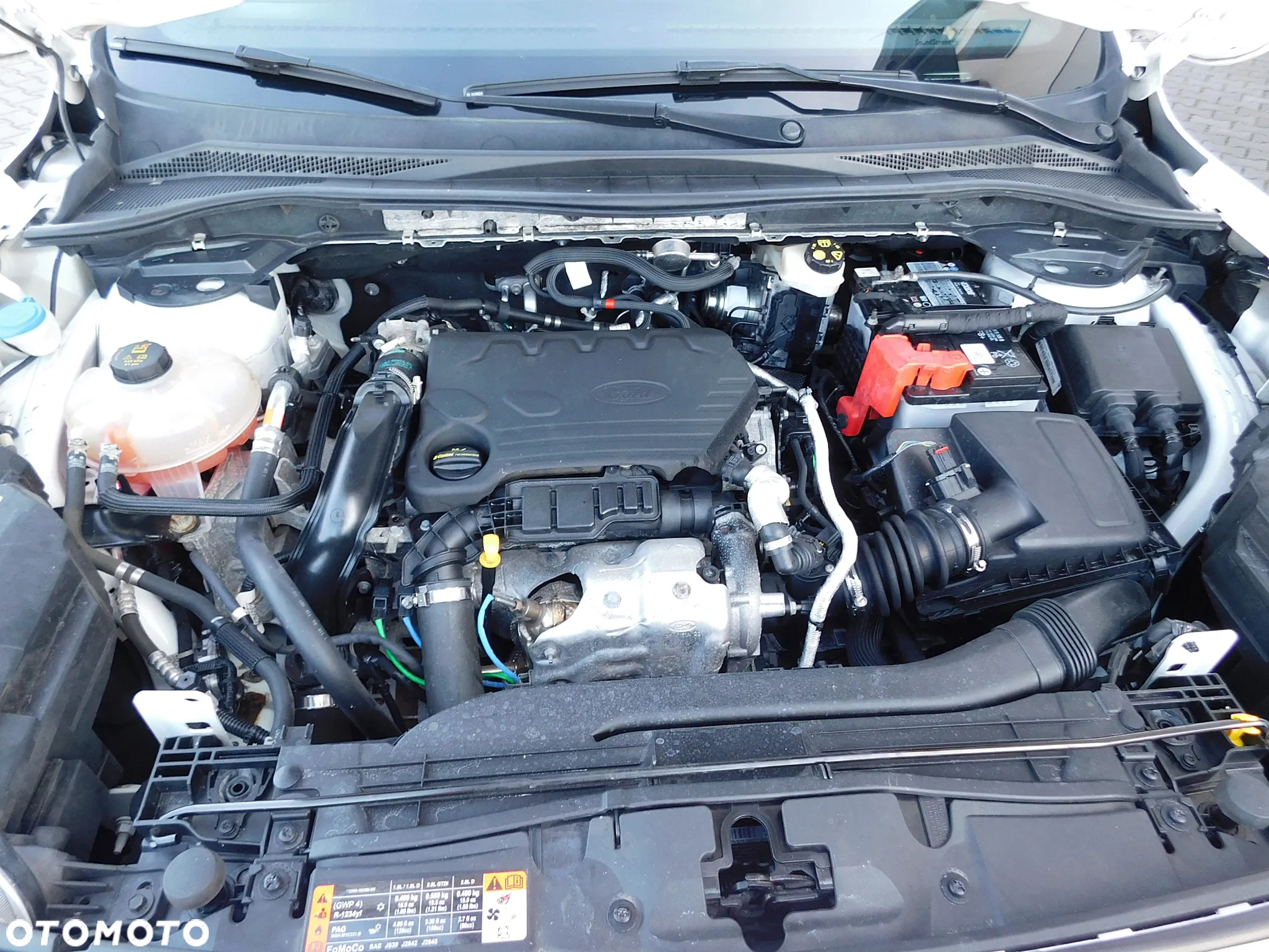 Ford Kuga 1.5 EcoBlue FWD ST-Line X - 23