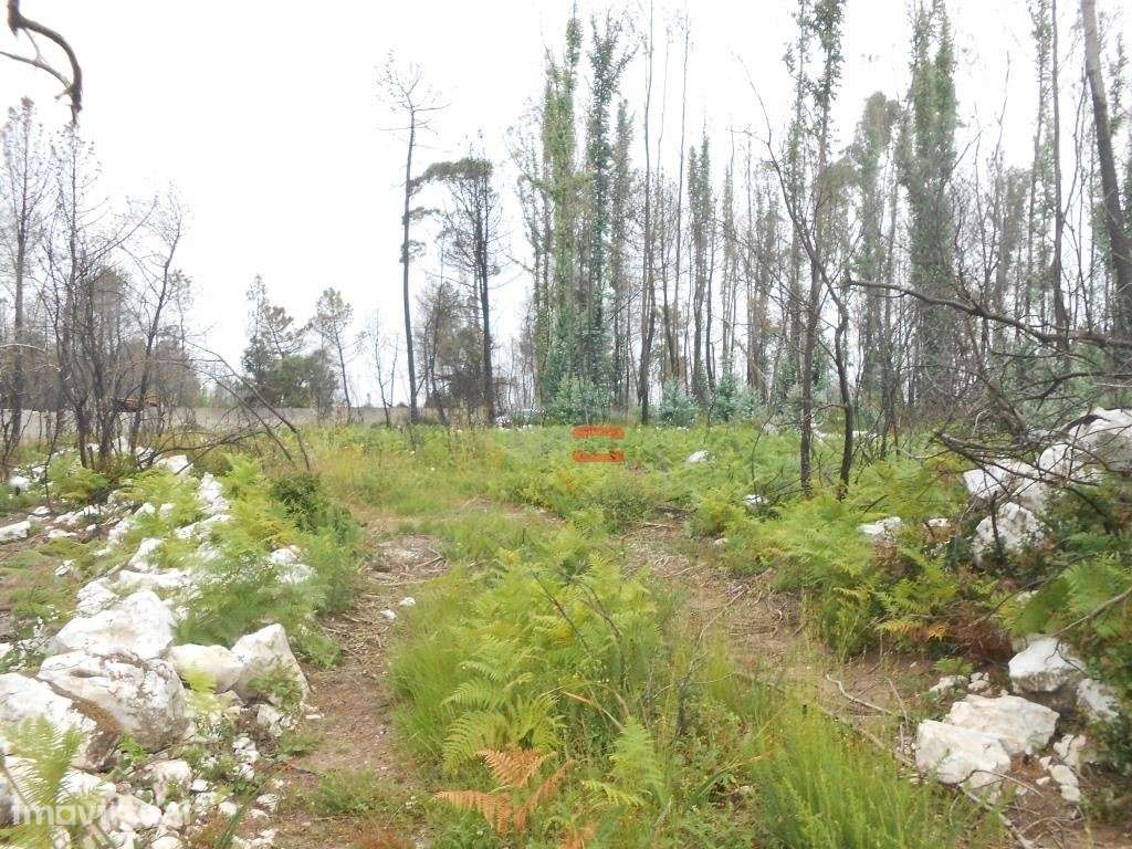 Terreno - Grande imagem: 5/16