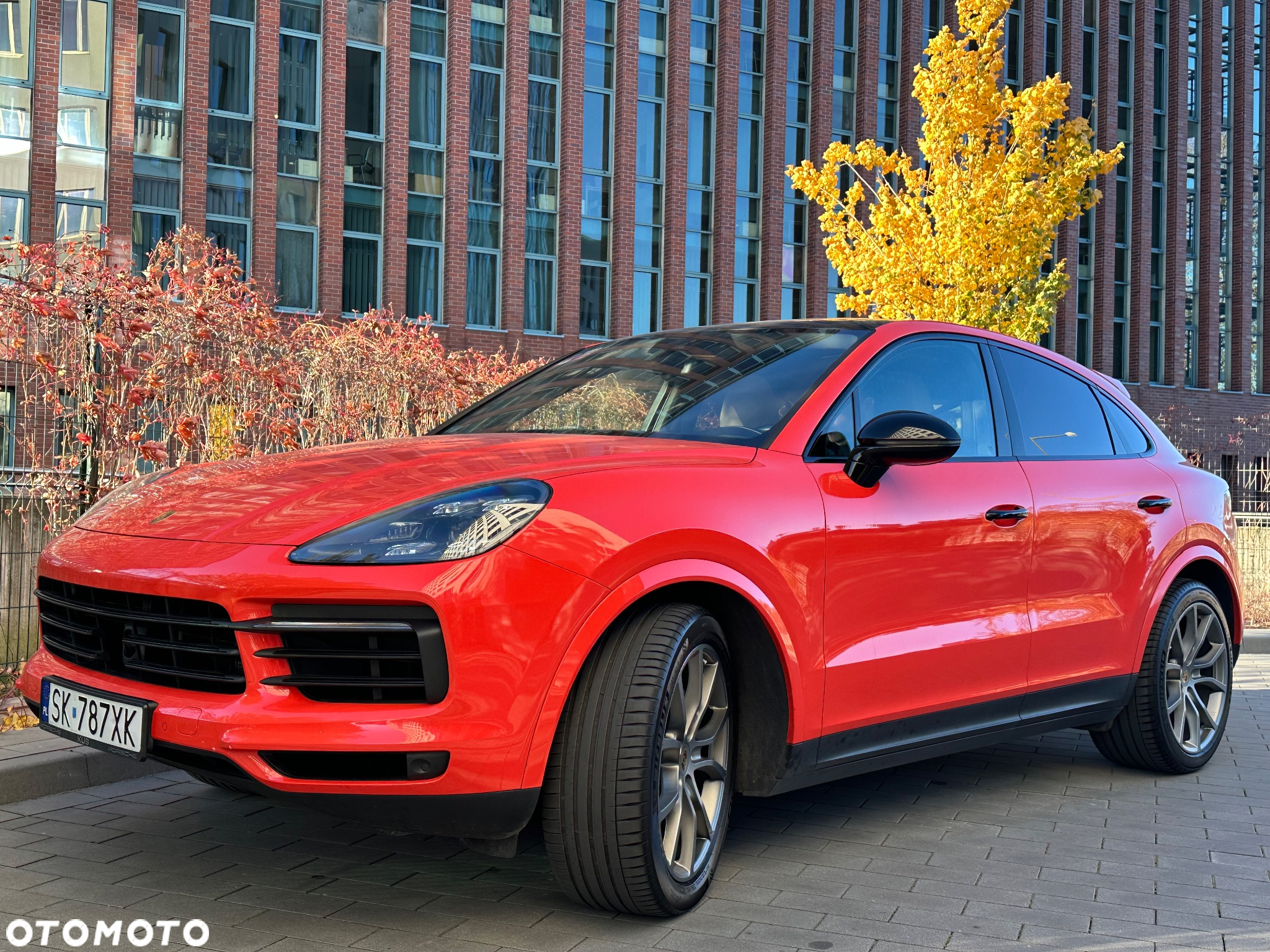 Porsche Cayenne Coupe Platinum Edition - 2