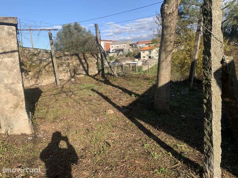 Terreno com casa 650m2 - Grande imagem: 3/7