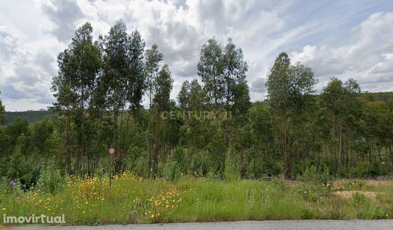 Terreno rústico com 7.640 m², Mação - Grande imagem: 3/4
