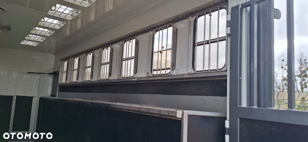 Scania Koniowóz 7-koni + living - 22