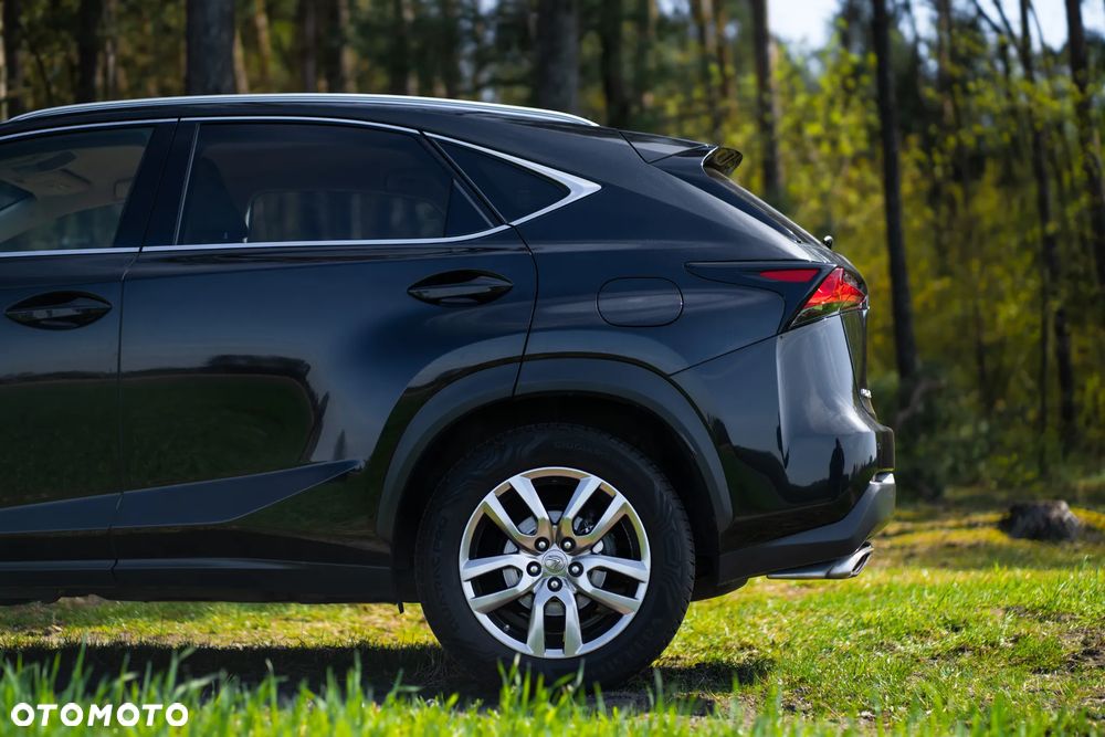 Lexus NX 300 Elegance 2WD - 15