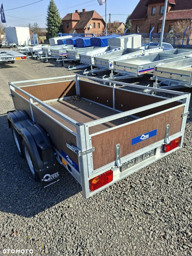 Blyss Krakus Wzmacniany - 3