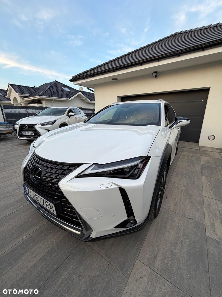 Lexus UX 250h Prestige 2WD - 13