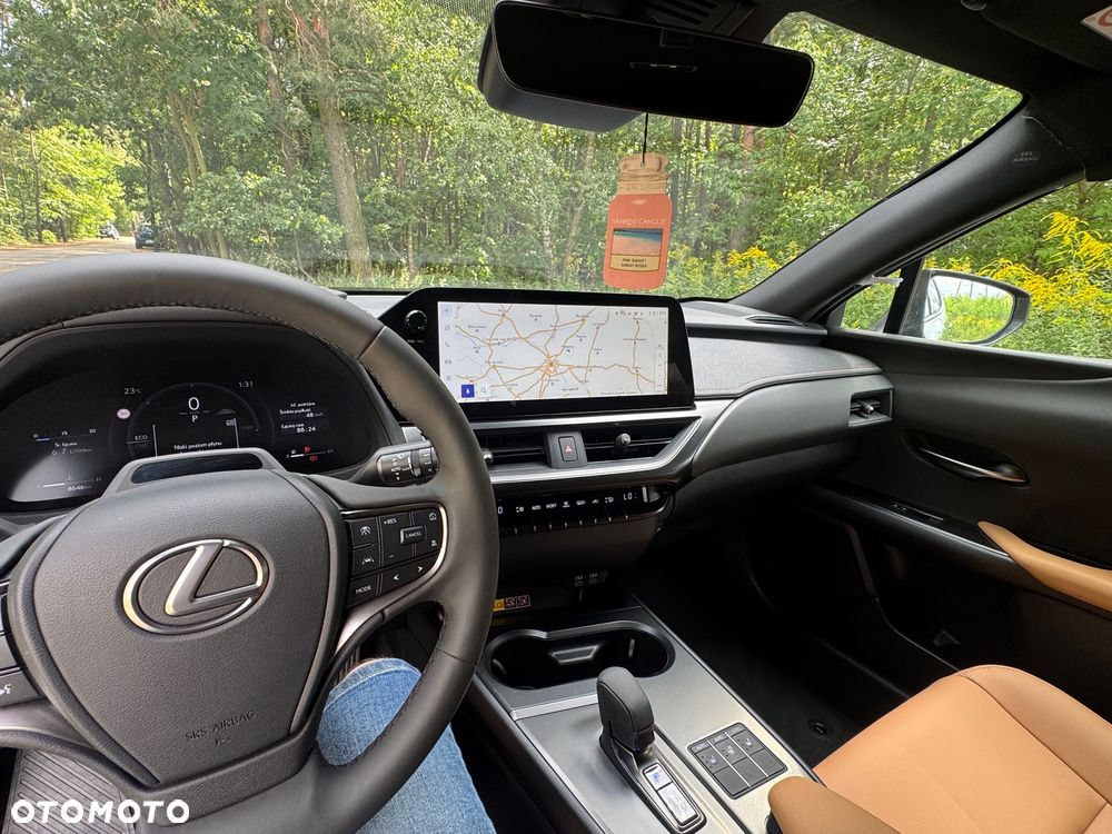 Lexus UX 300h F Sport AWD - 17